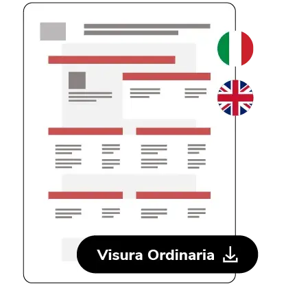 Visura ordinaria